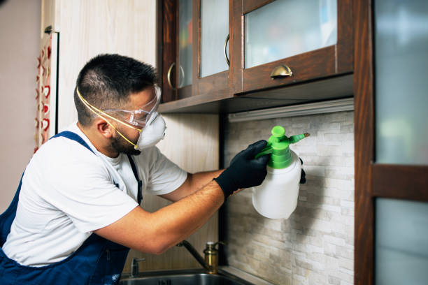 Best Local Pest Control Services  in Reese, MI