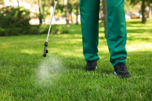 Pest Control Cost in Reese, MI
