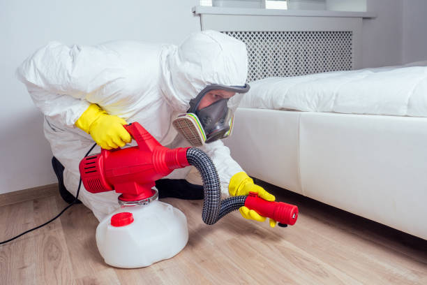 Best Ant Control Services  in Reese, MI