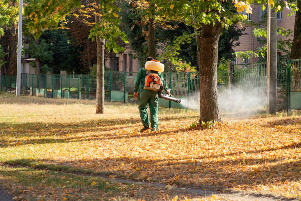 Best Best Pest Control Companies  in Reese, MI