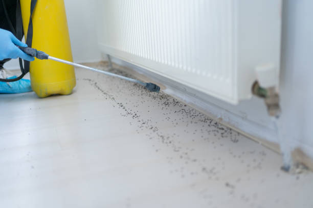 Best Exterminator Services  in Reese, MI