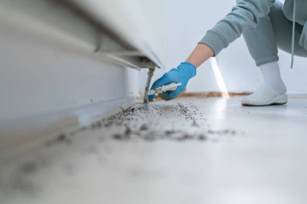 Best Wasp Removal Services  in Reese, MI