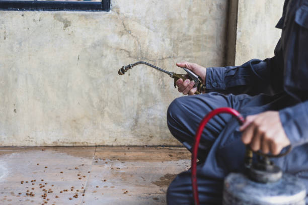 Best Exterminator Services  in Reese, MI