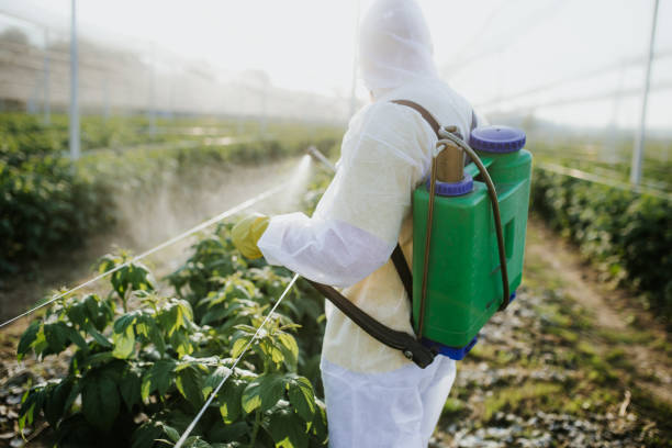 Best Mosquito Control Services  in Reese, MI